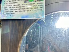 -上海大自然野生昆虫馆(东方明珠·爬宠昆虫探索中心)