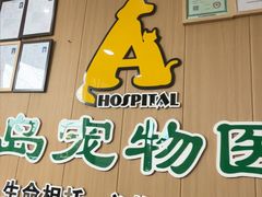 -半岛宠物医院24小时·内窥镜·牙科·碎石中心(府城大道店)