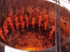 -艾力江和田馕坑烤肉店