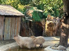 -无锡动物园·太湖欢乐园