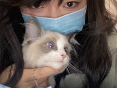 -半岛宠物医院24小时(科华中路店)