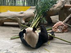-杭州野生动物世界