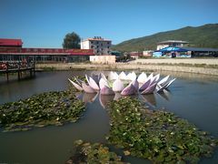 -帽儿山风景区