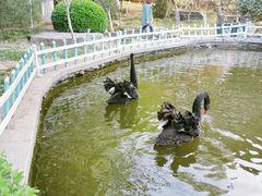 -济南南郊宾馆