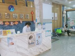 -瑞派名望志远动物医院·猫科·內科·异宠专科(直港大道店)