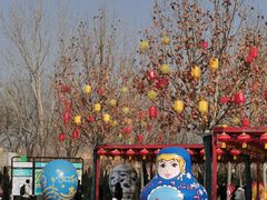 -泰达航母主题公园