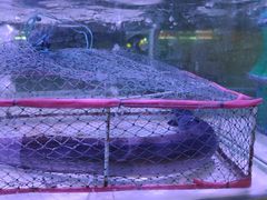 -广客美食坊(丹霞山店)