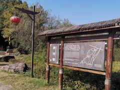 -杏花村文化旅游区