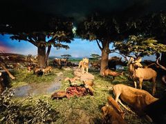 -国家自然博物馆