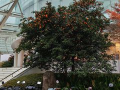 -浙江大学(紫金港校区)