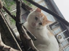 -何适山庄 ·可团建(水长城P2停车场店)