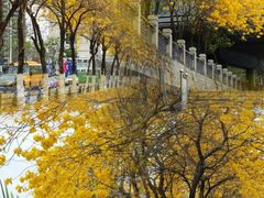 -万江图书馆