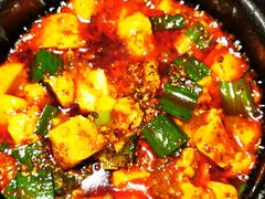 -陈麻婆豆腐总店