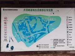 -盐城丹顶鹤湿地生态旅游区