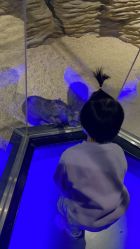 -未来动物城动物主题公园(大悦城店)