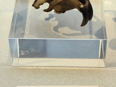 -安阳博物馆