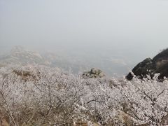 -北京凤凰岭