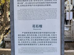 -安亭老街
