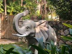 -厦门日月谷温泉渡假村