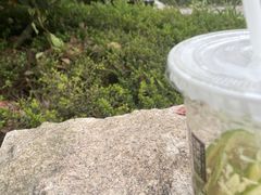 -喧闹·东方大气茶(鹅岭二厂店)