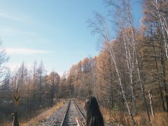 -莫尔道嘎国家森林公园