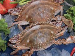 海蟹-胖姐烧烤(总店)