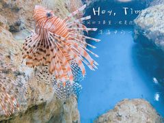 -福州罗源湾海洋世界旅游区