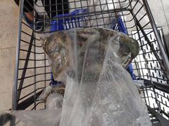 -盒马鲜生(文景博乐里购物广场店)