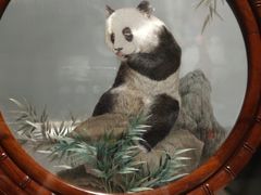 -湖南湘绣博物馆
