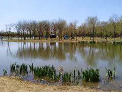 -东郊湿地公园