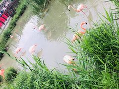 -苏州上方山国家森林公园