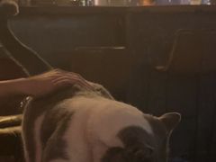 -后院儿·精酿·塔罗Happy Bar