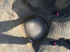 -龙口南山旅游景区