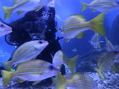 -海合安武汉极地海洋公园