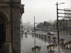 -Salon de Ville浦江汇(上海外滩华尔道夫酒店店)