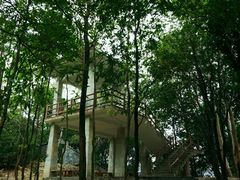 -火炉山森林公园