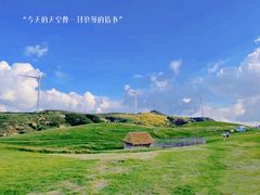 -仰天湖大草原