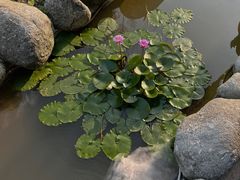 -大自然(鲁家村店)