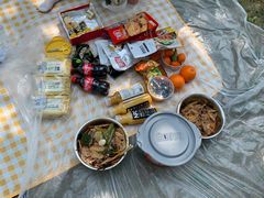 -铁山坪森林公园