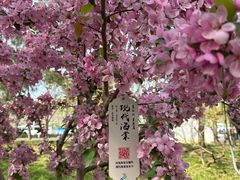 -元大都城垣遗址公园