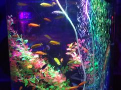 -碧乐城(无锡梁溪店)