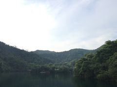 -鼎湖山风景区