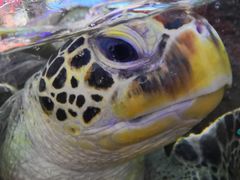 -鸿通城购物中心