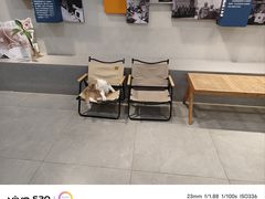-伟伟宠物医院·CT影像中心·瑞派犬猫综合性门诊(汉口总院)