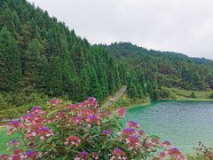 -武陵山森林公园