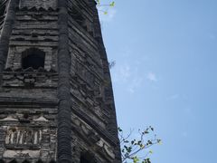 -上海佘山国家森林公园天马山园