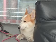-LaFBagel手作烘焙工作室
