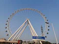 -日照海滨国家森林公园