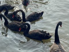 -漩门湾国家湿地公园