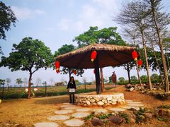 -天适樱花悠乐园